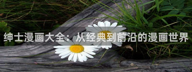在线观看香蕉漫画：绅士漫画大全：从经典到前沿的漫画世界